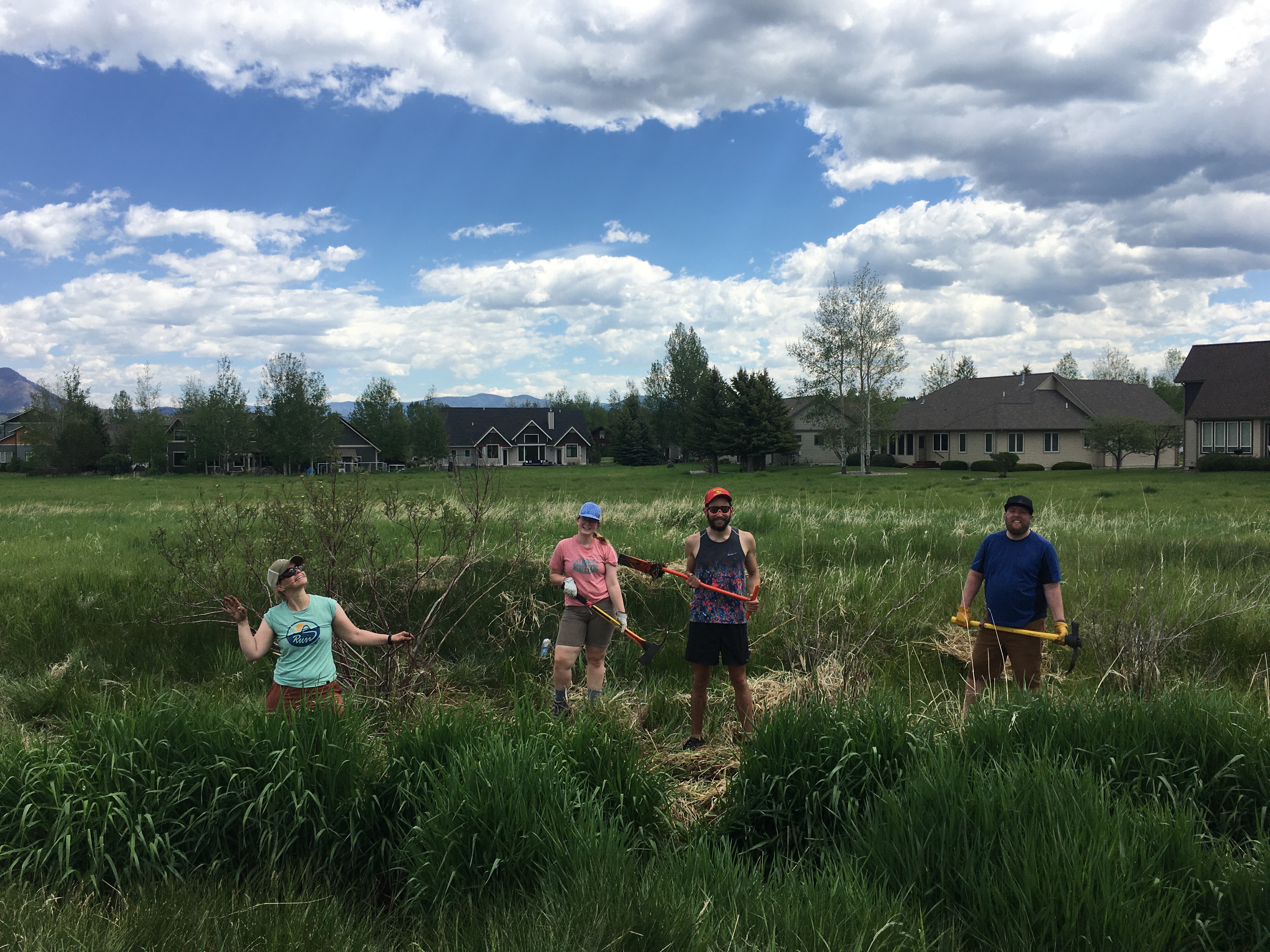 Planting bare root willows in the bank of an impaired stream in Bozeman, Montana on National Trails Day 2021.