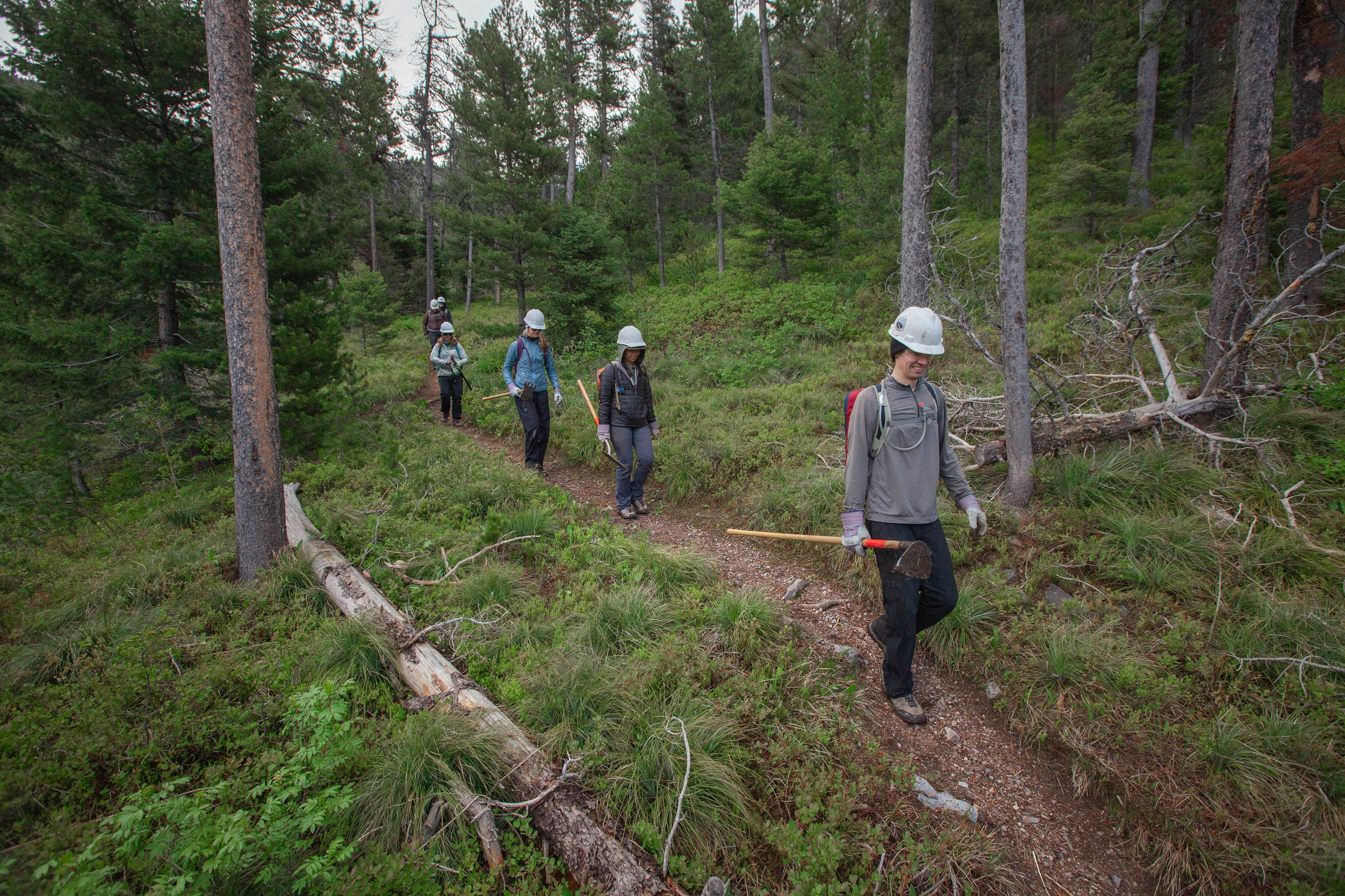 Members of the Oboz Footwear team doing trail work on their adopted section of the CDT.