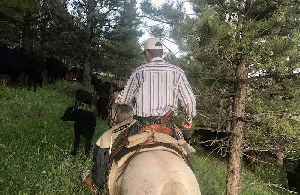 Trailblazer David Gabrielli rides a horse at work on a ranch in Kirby, Montana.