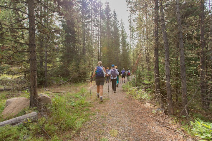 Participants of the 52 Hike Challenge, hike on a forest trail in Montana's Hyalite Valley.