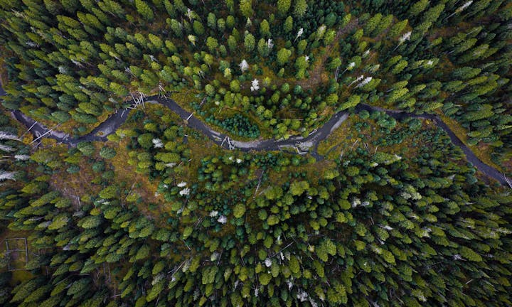 Aerial view of a mountain forest with a river running through it.