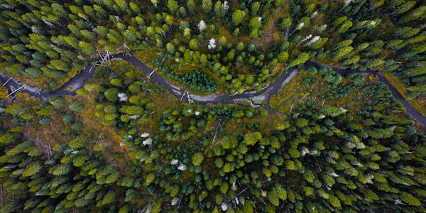 An aerial view of a river passing through a dense forest.