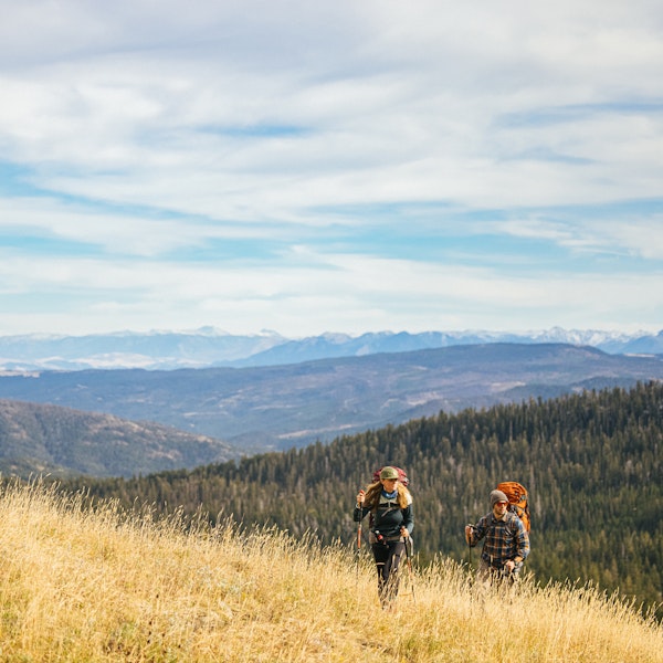 Two hikers bushwhacking a hike in the Montana mountains.