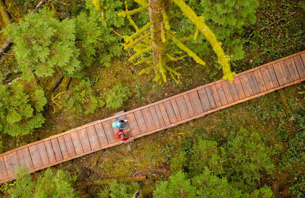 Two hikers on a boardwalk in the woods wearing Oboz boots.