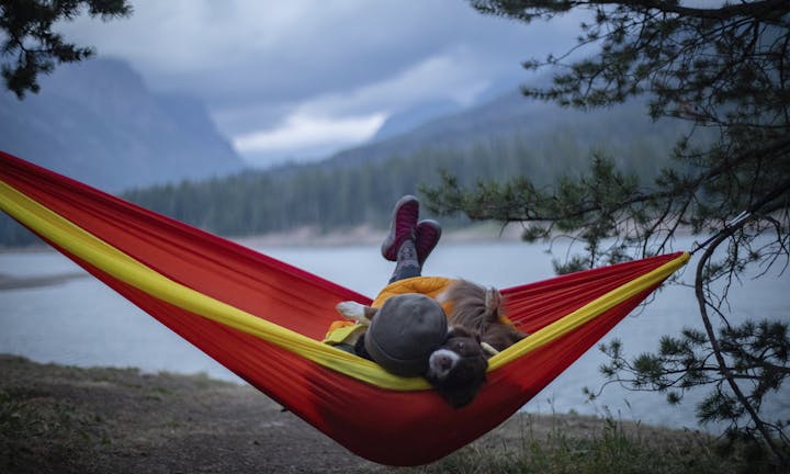 Woman and her dog laying in a hammock overlooking a lake.