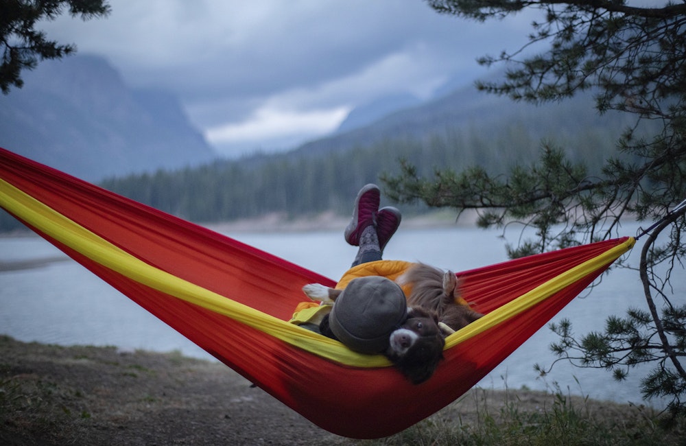 A person and a dog cuddling in a hammock at Hyalite Lake near Bozeman.