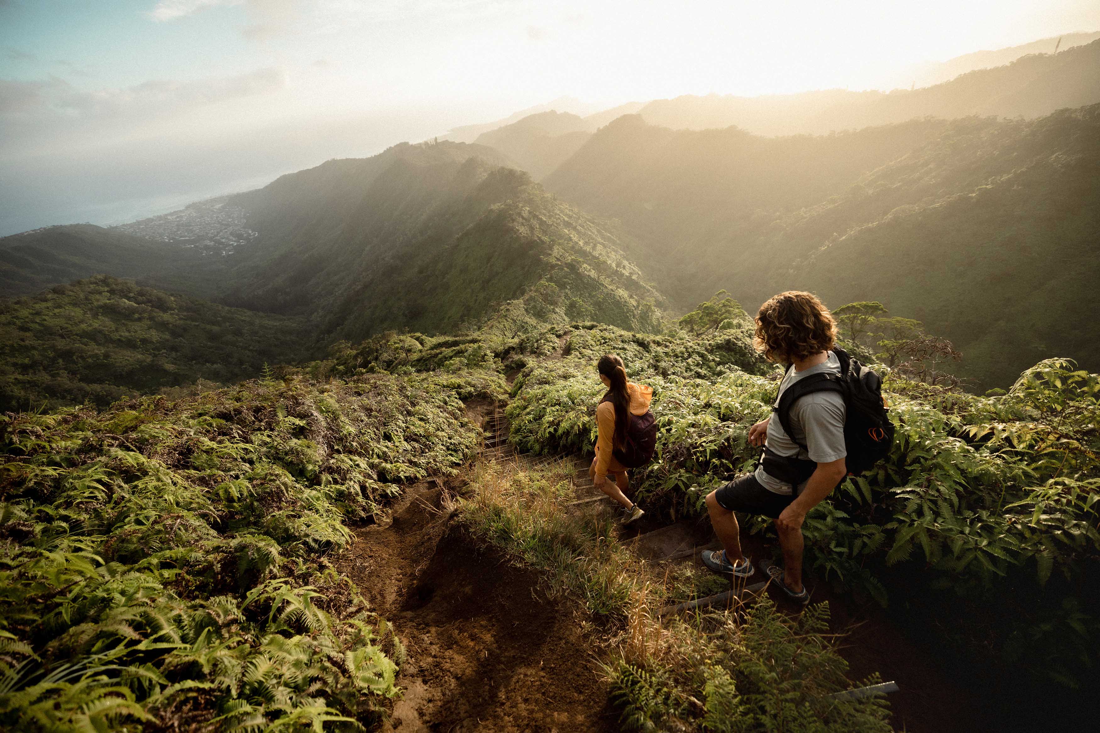 Two hikers traversing wooden stairway down a steep forest ridge.