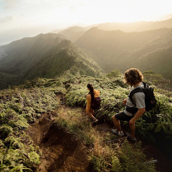 Two hikers traversing wooden stairway down a steep forest ridge.