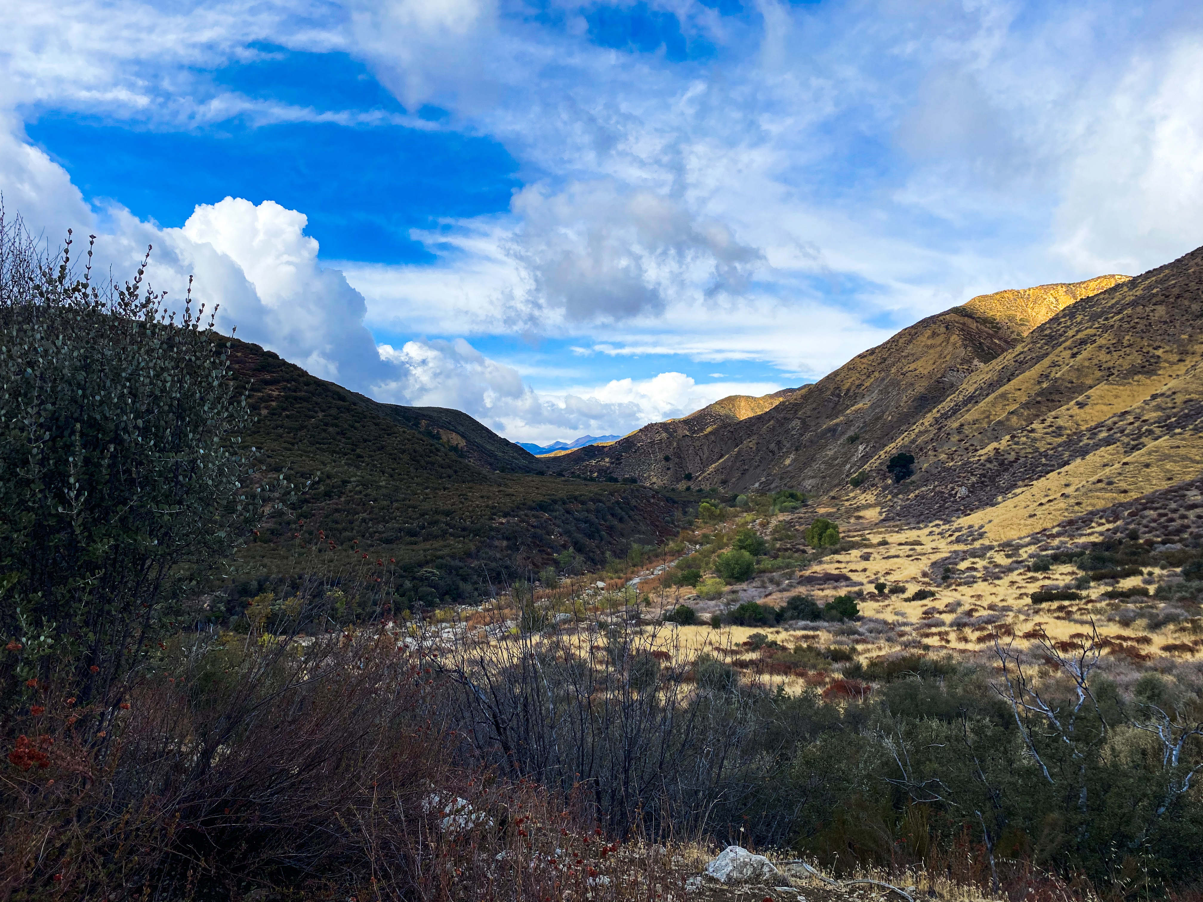 Beautiful blue skies on and landscape views on the Sespe River Trail .