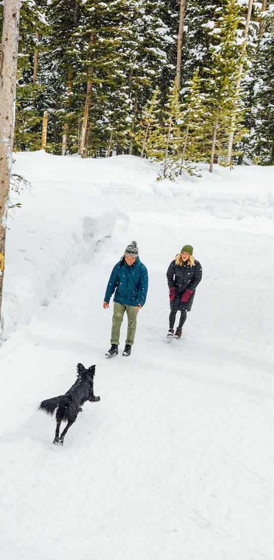 Two people hiking in the winter with a dog while wearing insulated Oboz boots.