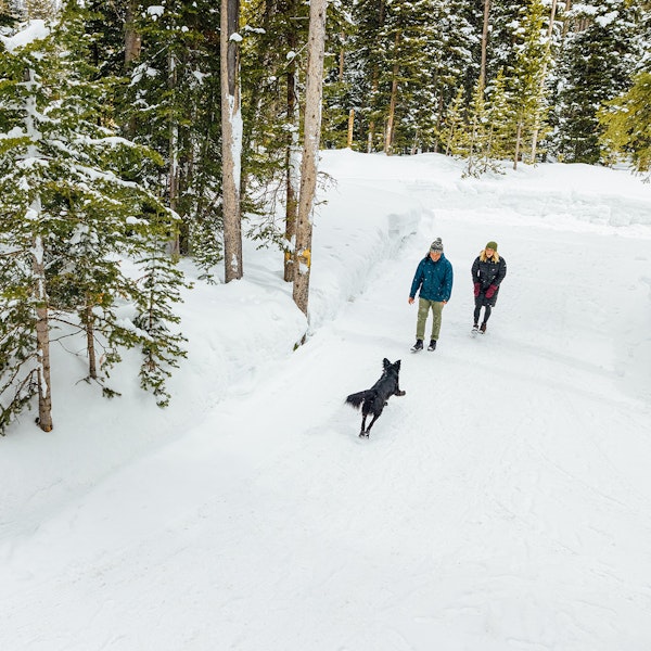 Two people and a dog out for a snowy walk on a trail.