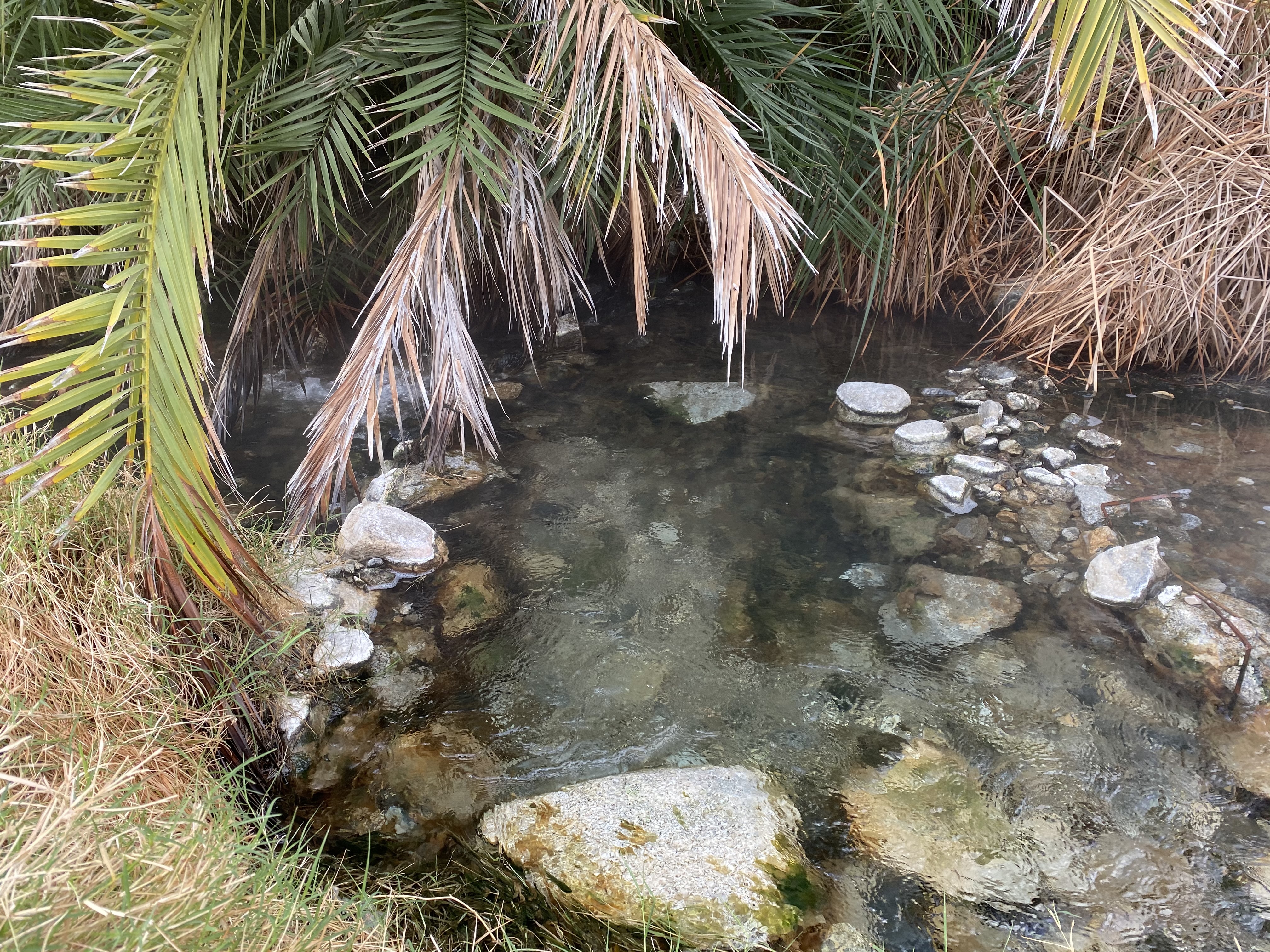 Hot springs off the Sespe River Trail.