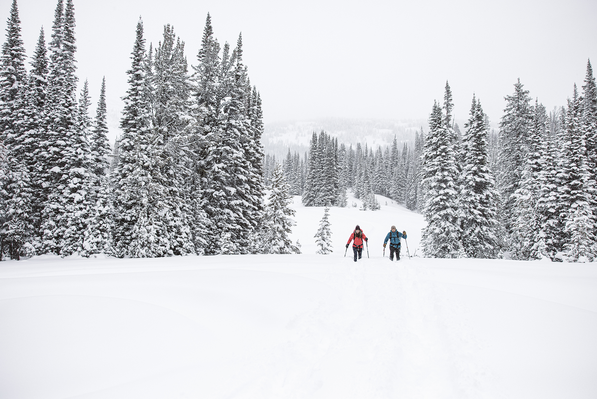 Two people snowshoeing on a snow covered winter trail in Oboz winter boots.