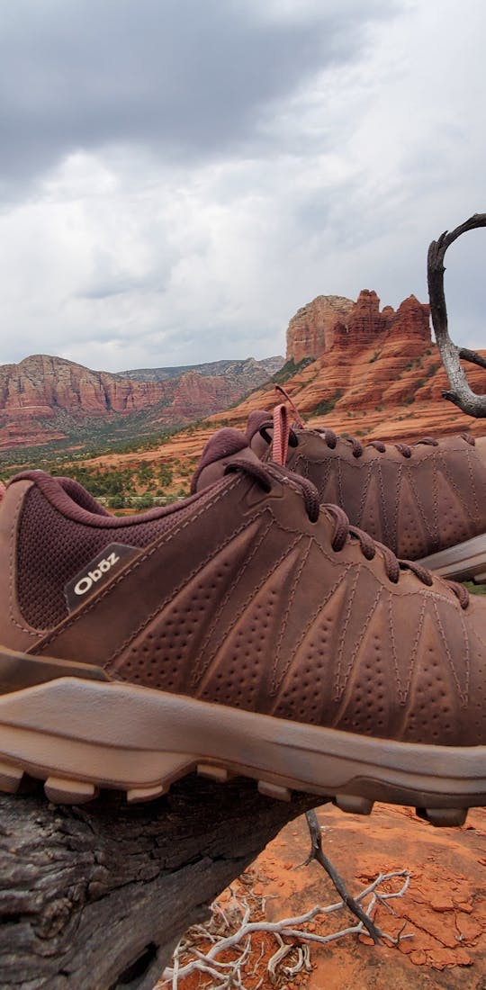 Sypes hanging on a tree in the desert