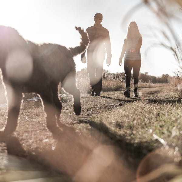 Taking the Firebrand II B-Dry shoes out with the dog.