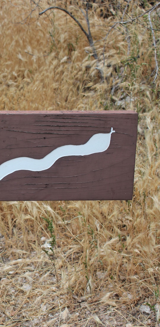 Trail sign warning hikes to "Please Stay on Trail" due to snakes