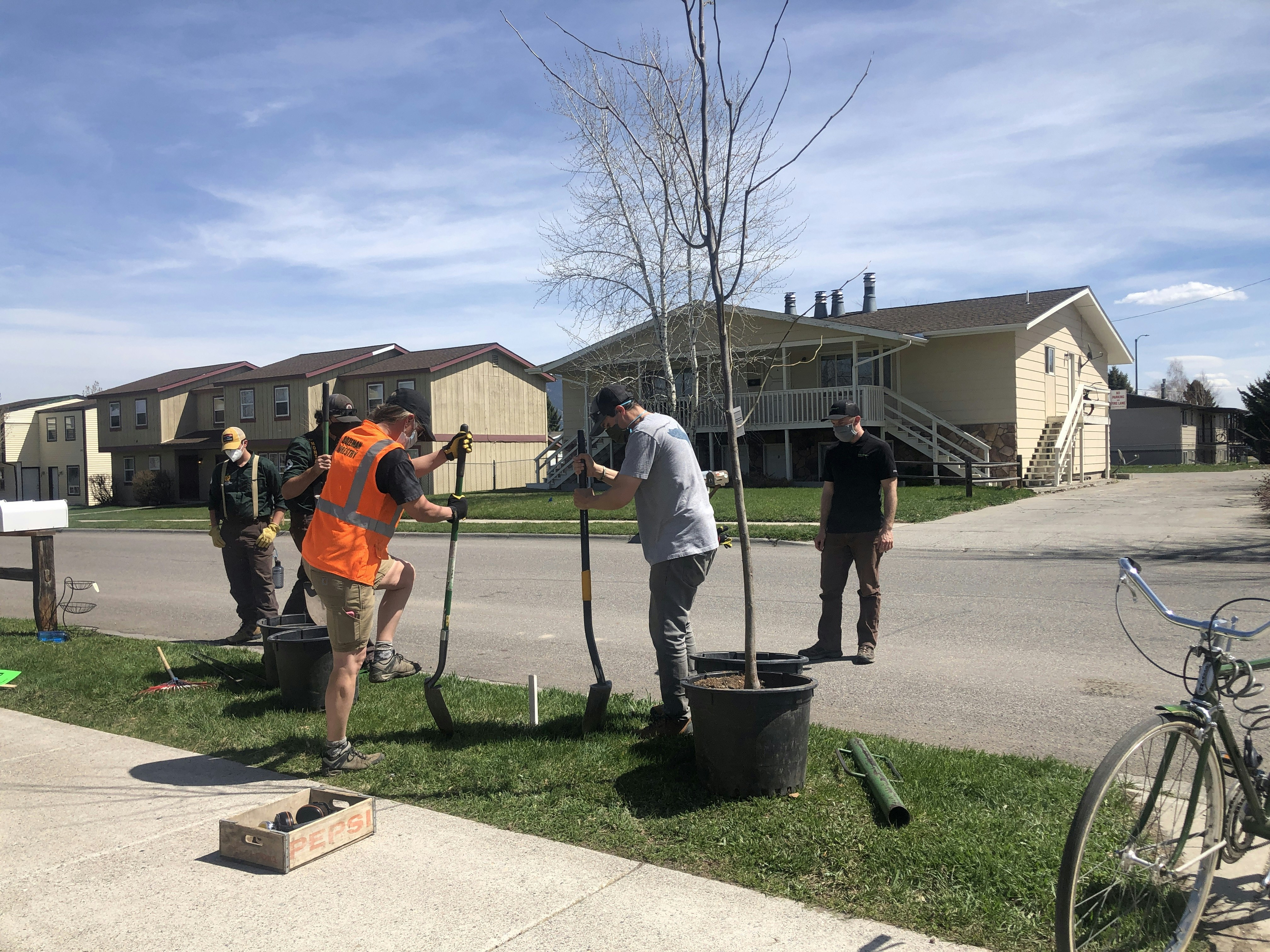 Planting trees in a neighborhood in Bozeman, Montana on Arbor Day 2021.