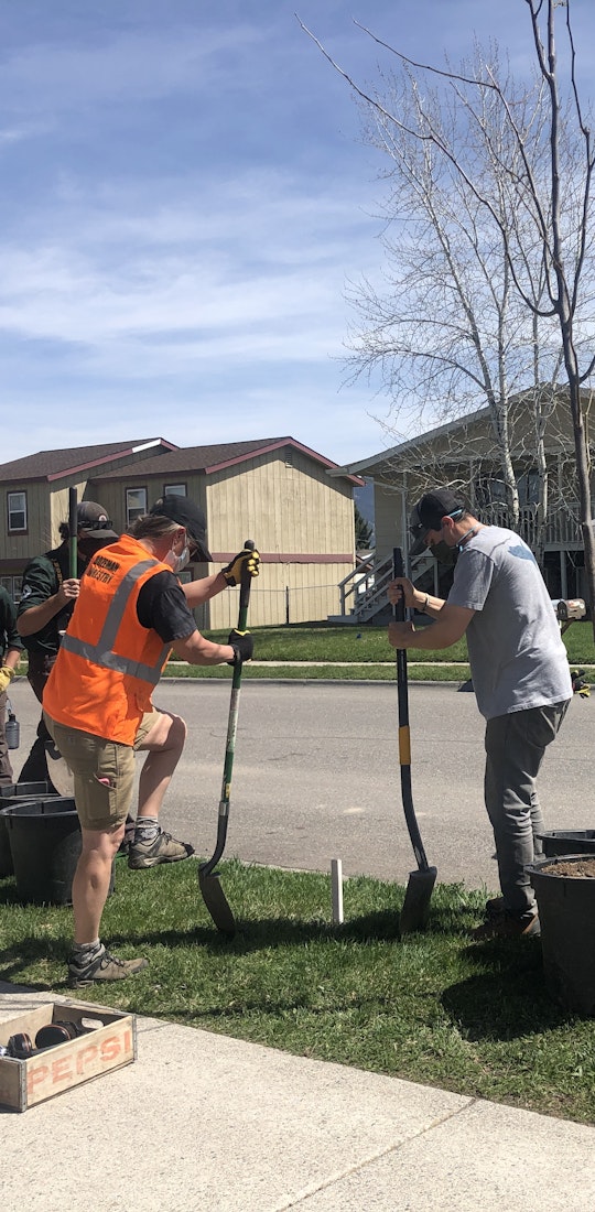 Planting trees in a neighborhood in Bozeman, Montana on Arbor Day 2021.