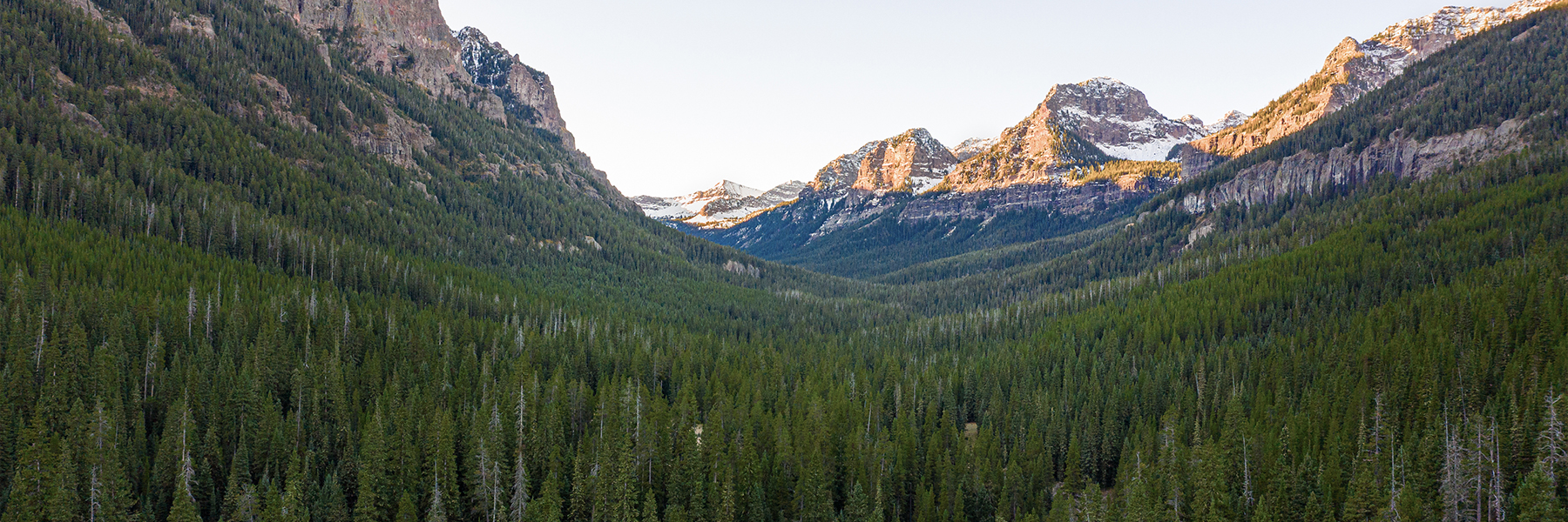 Glacial valley with a dense forest and high alpine peaks.