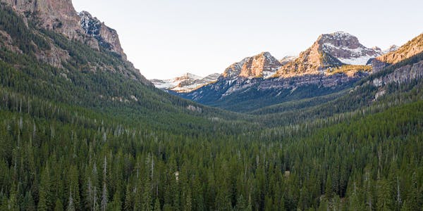 Glacial valley with a dense forest and high alpine peaks.