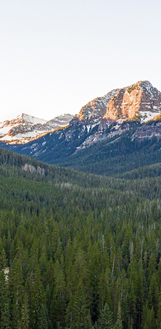 Beautiful glacial valley with a forest and tall mountain peaks.
