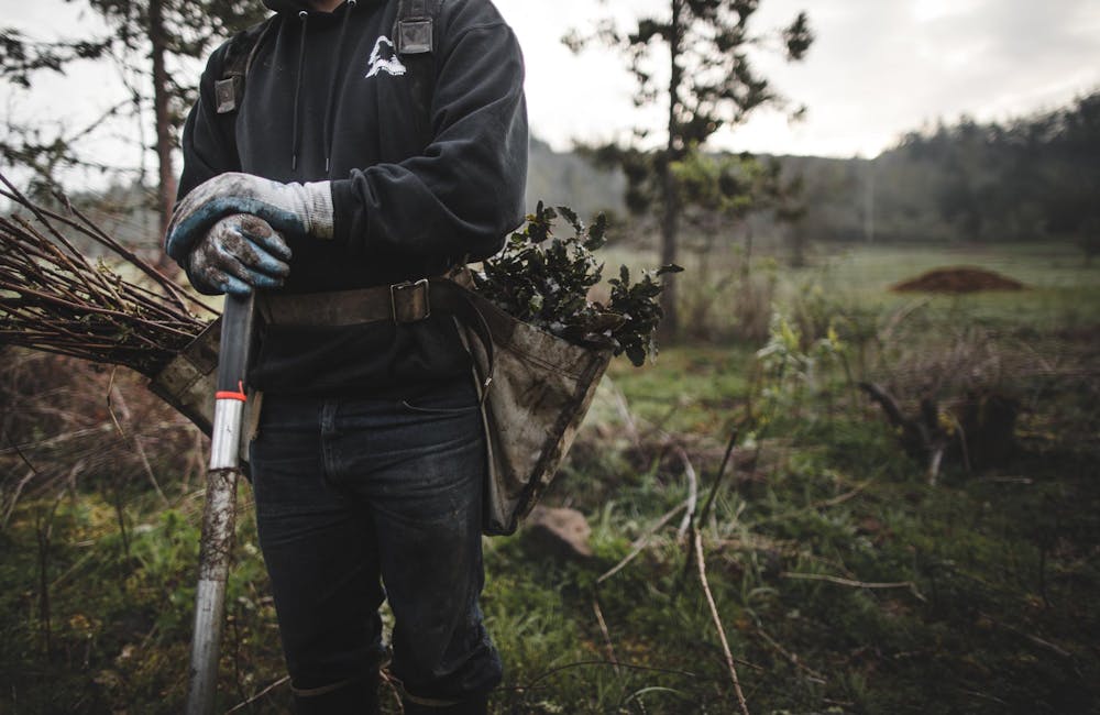 Oboz Footwear One More Tree planting partner, veritree, reforesting in Oregon.