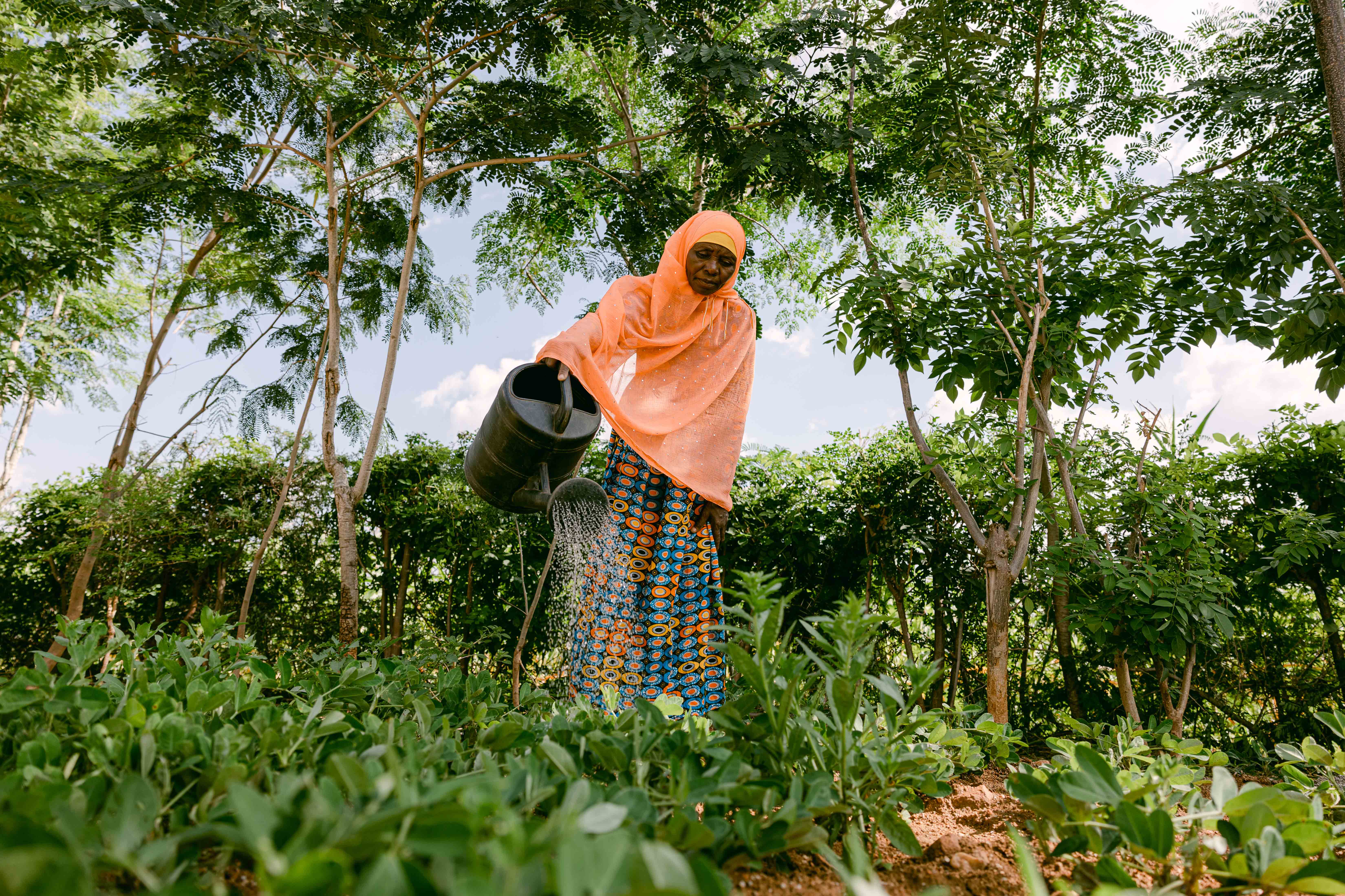 Woman watering plants in a One More Tree farming facility.