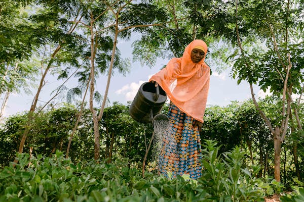 Woman watering plants in a One More Tree farming facility.