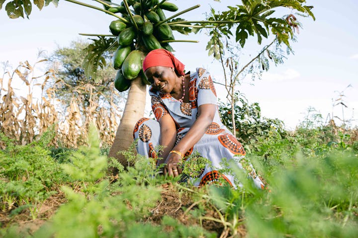 Woman gardening in a One More Tree farming facility.