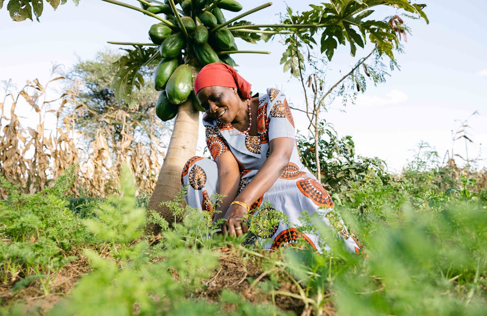 Woman gardening in a One More Tree farming facility.