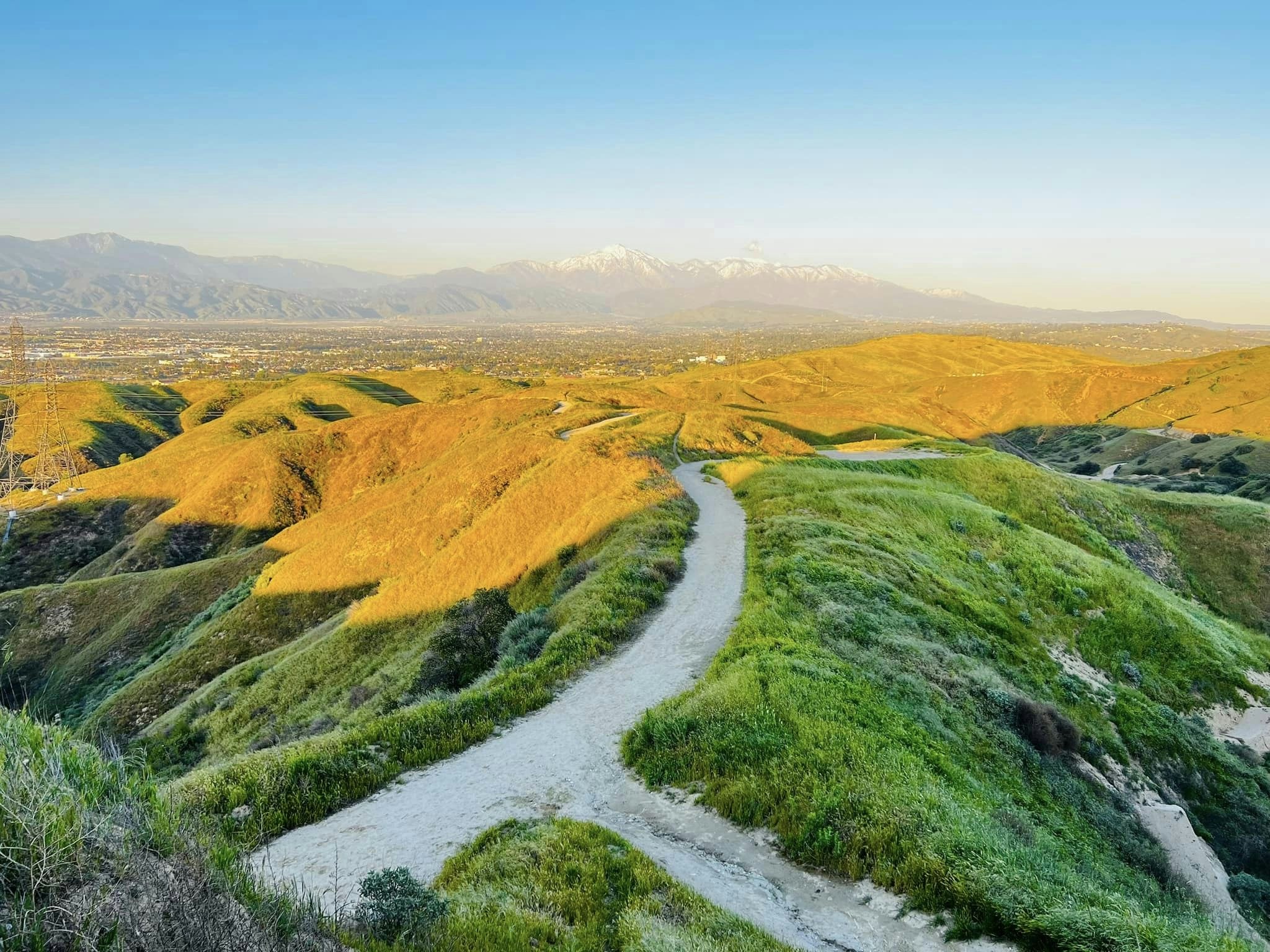 Local hiking trails explored during the Oboz Trails for Trees Challenge. 