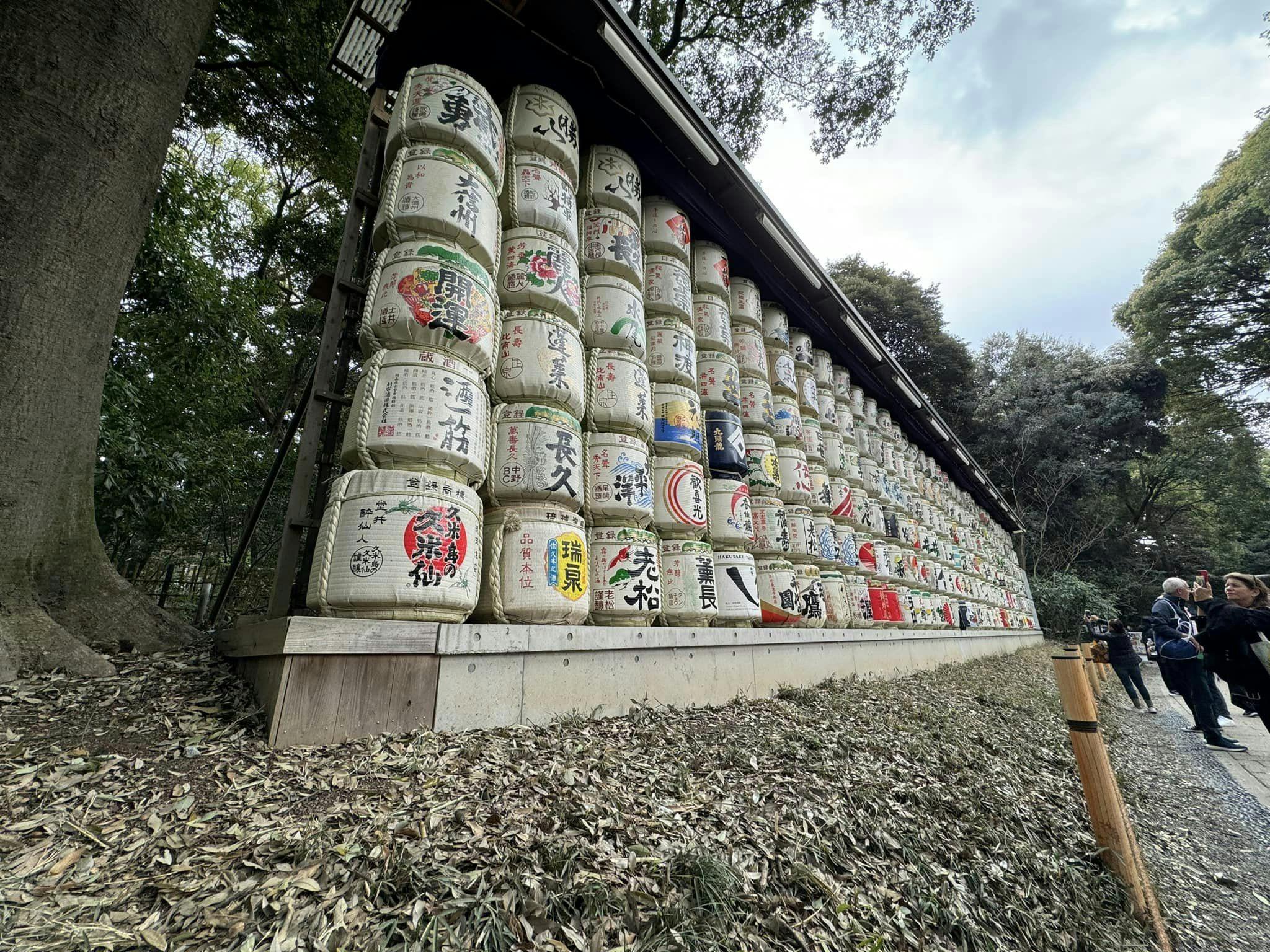 Sights seen from a hiking trail in Japan during the Oboz Trails for Trees Challenge. 