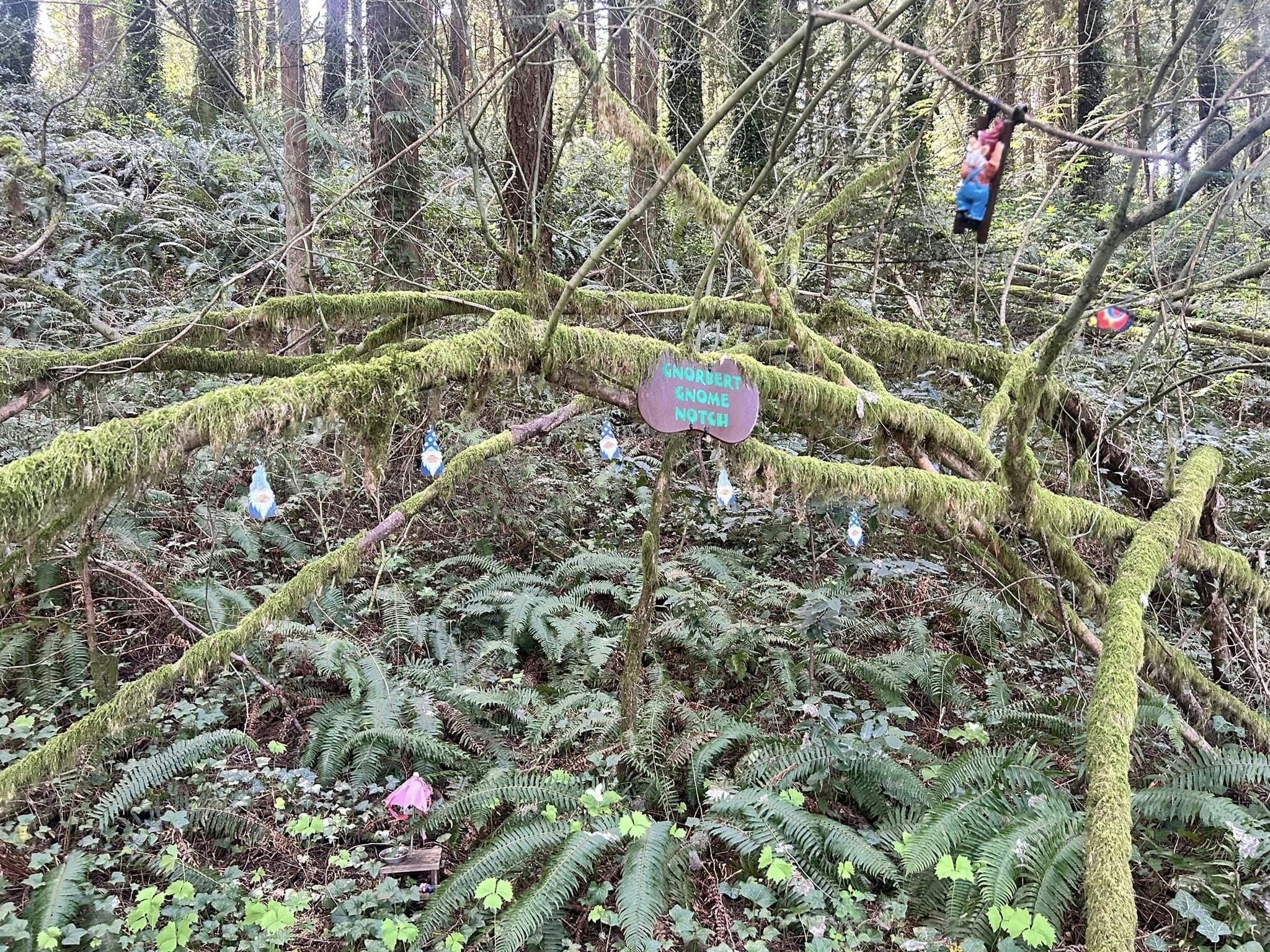 A gnome village found on a hiking trail during the trails for trees challenge.