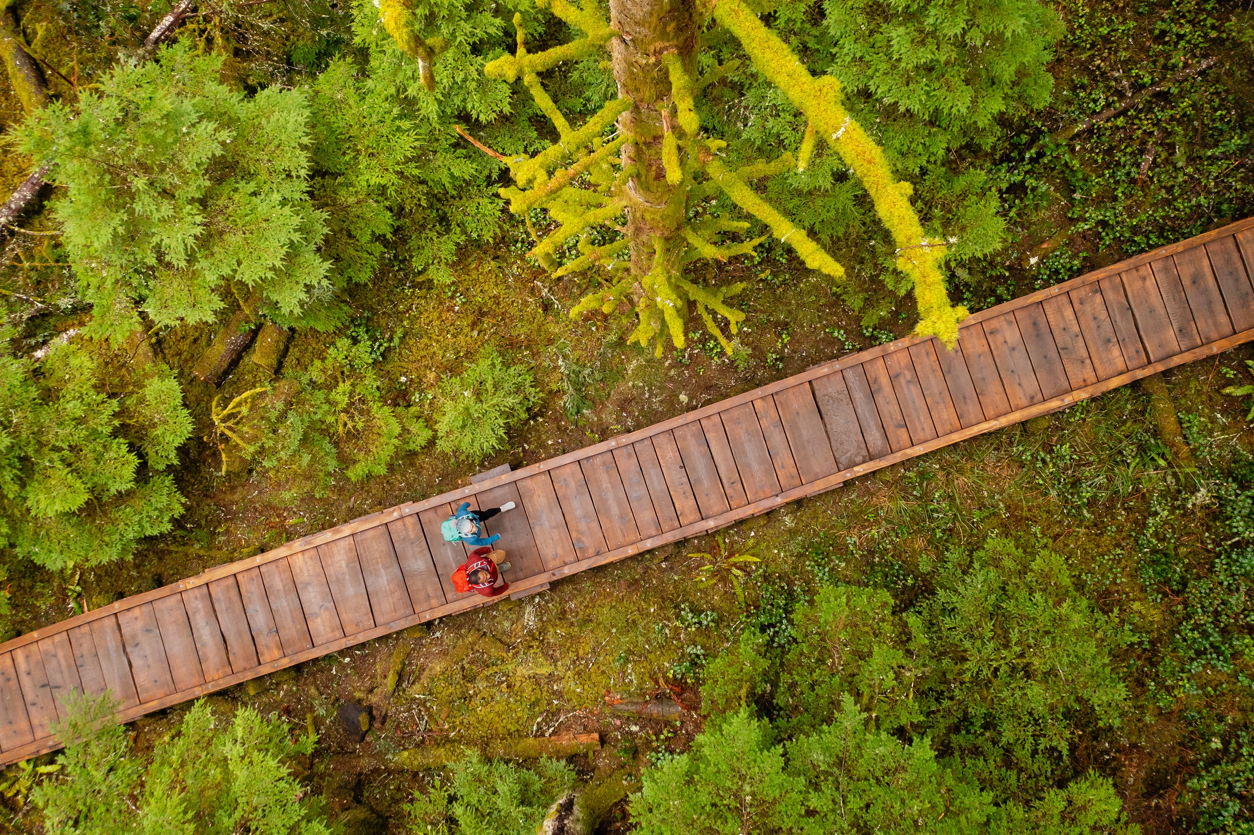 Hikers on a trek through trail systems wearing their Oboz hiking shoes. 