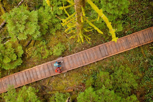 Hikers on a trek through trail systems wearing their Oboz hiking shoes.