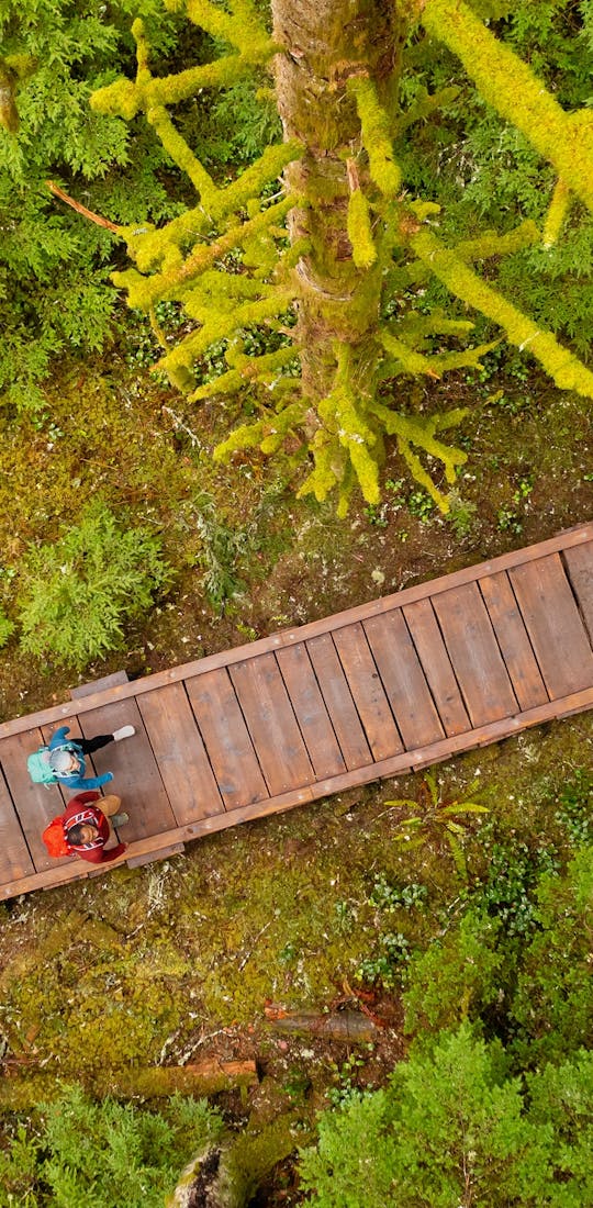 Hikers on a trek through trail systems wearing their Oboz hiking shoes.