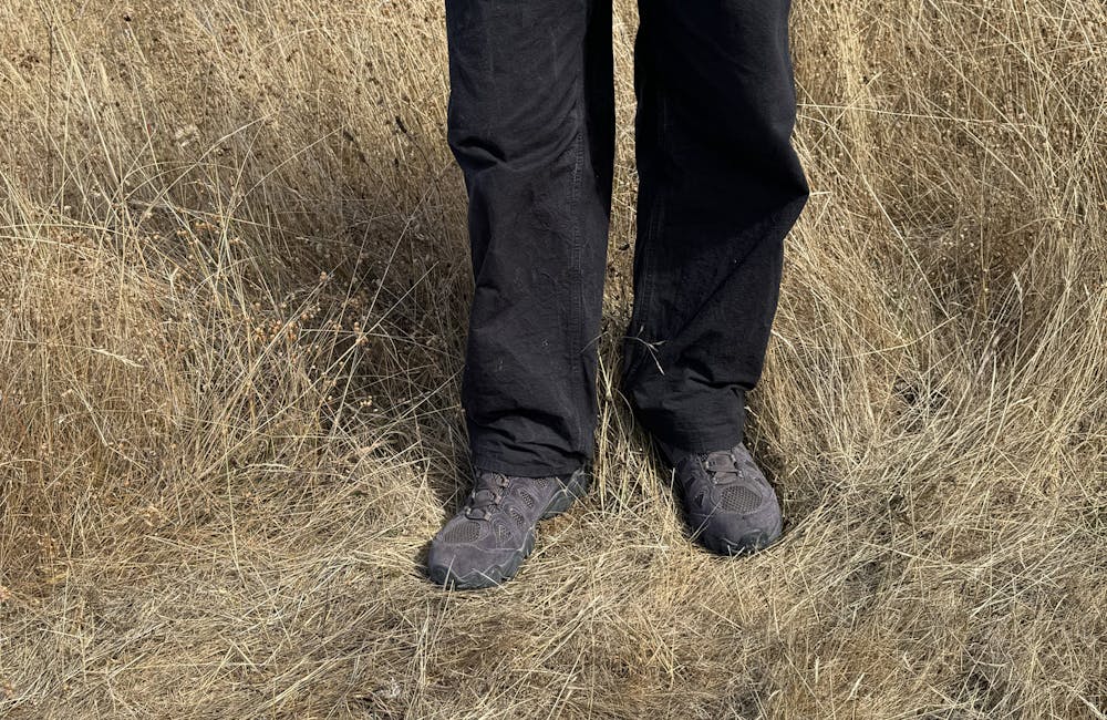 The Oboz x Blackbird Spyplane Swagtooth vibin' in a grassy field.