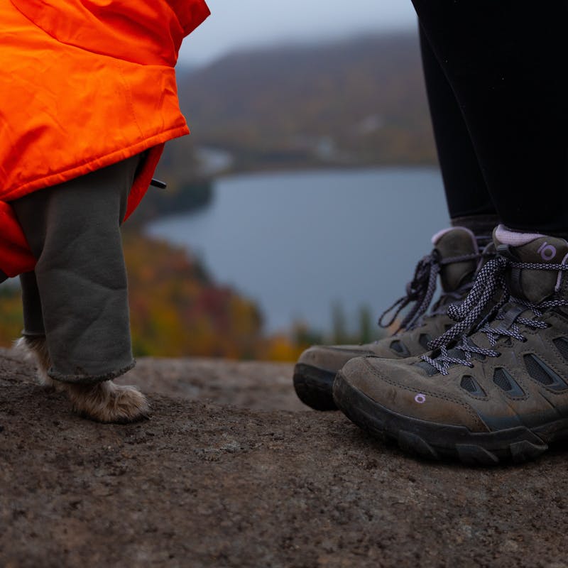 A hiker and their dog in Oboz Footwear
