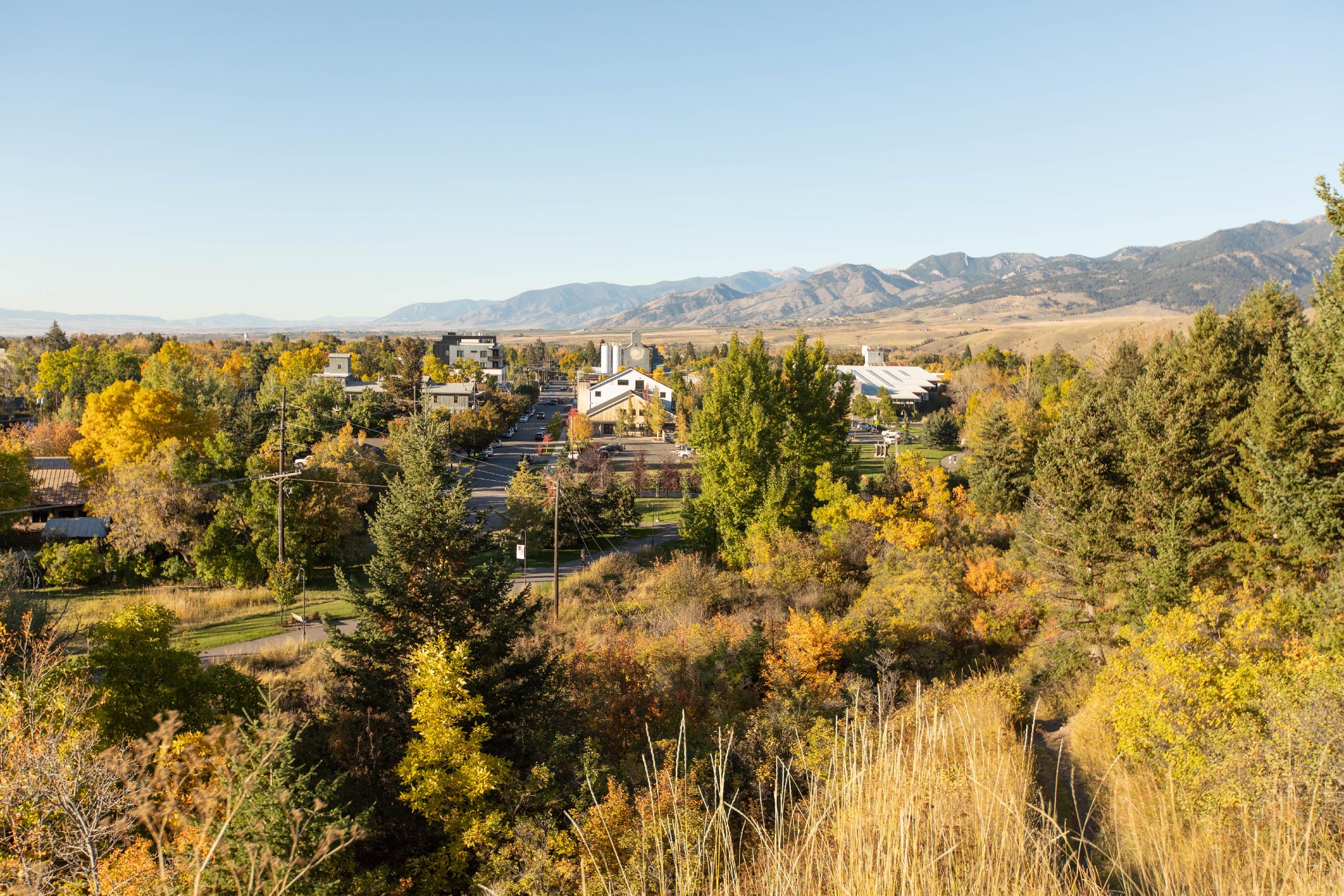Oboz HQ in a fall Bozeman, MT