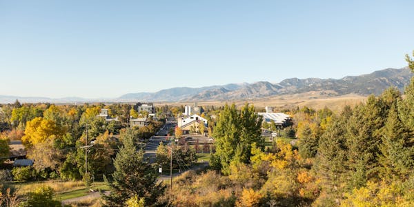 Oboz HQ in a fall Bozeman, MT