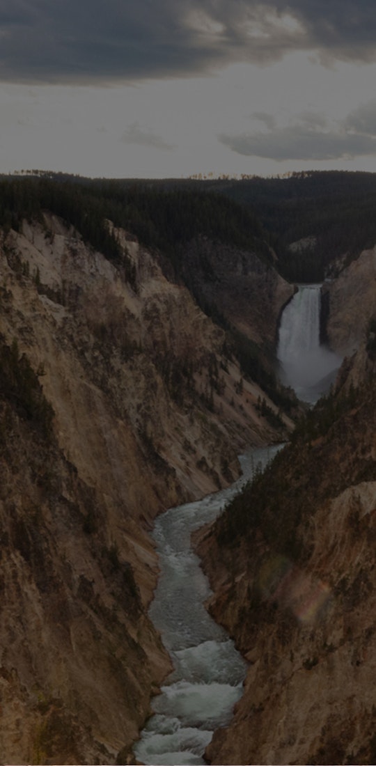 Powerful river water flowing in the Lower Falls of the Yellowstone National Park.