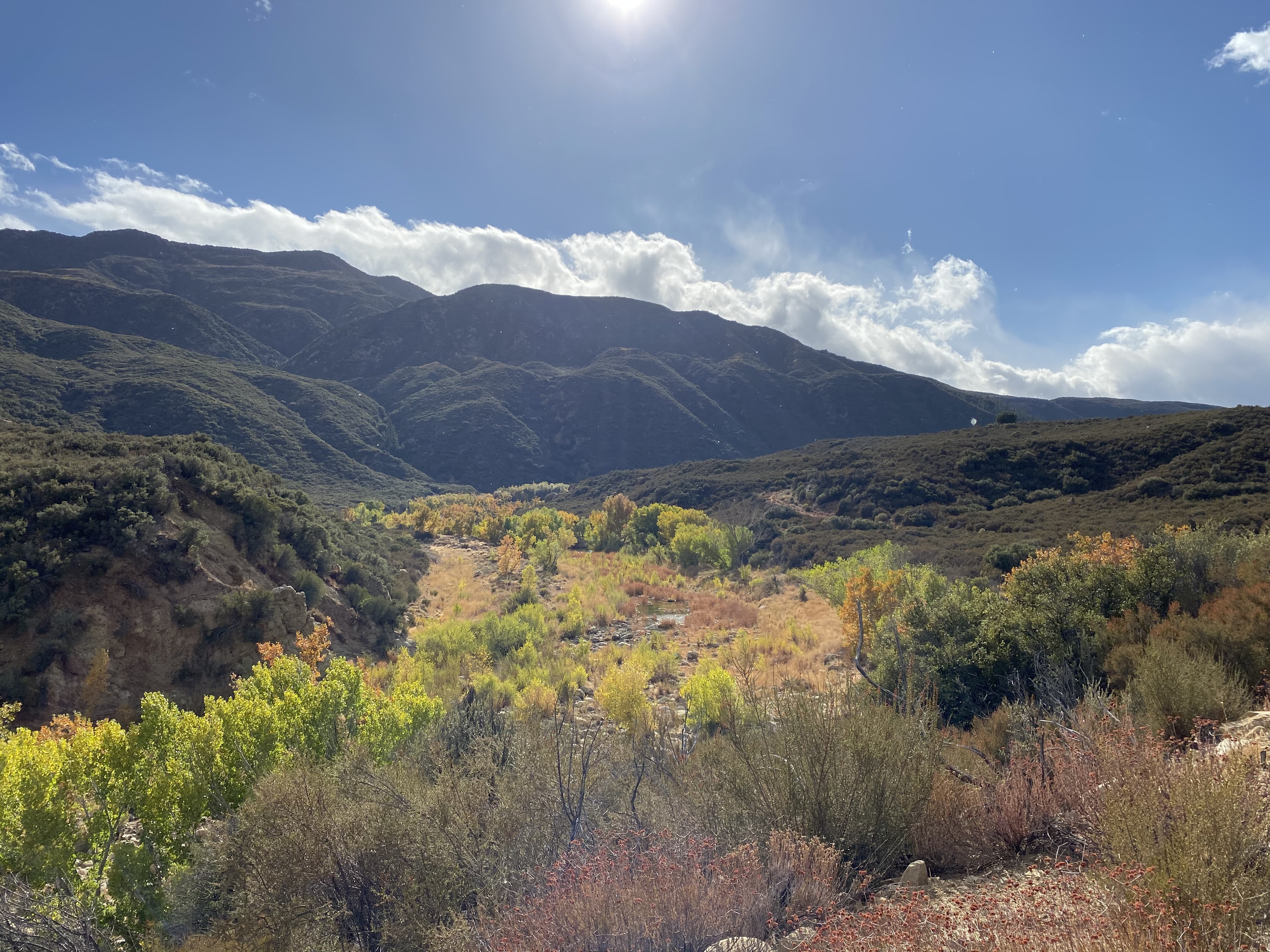Landscapes views from the Sespe River Trail.
