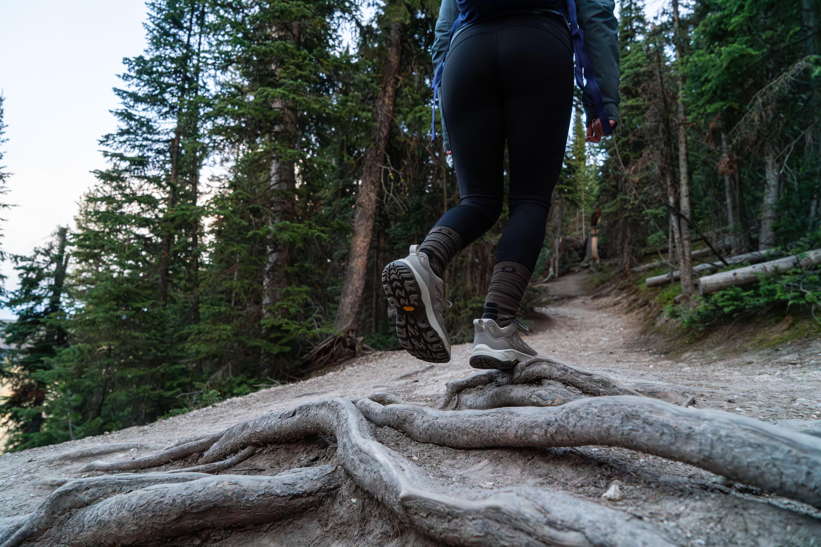 Oboz Sawtooth Ascent hiking boot on a root bound trail in Montana.