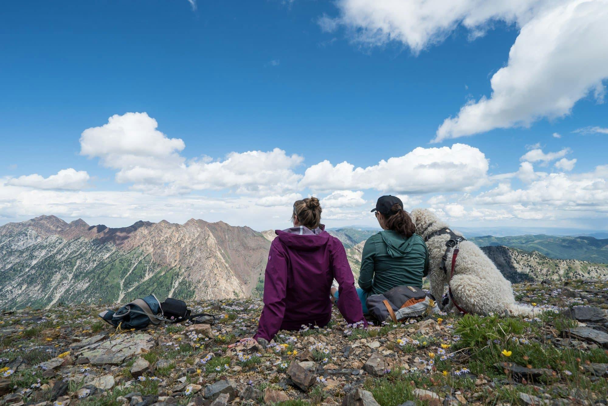 Two women and a dog enjoying summit views of a springtime hike in the mountains.