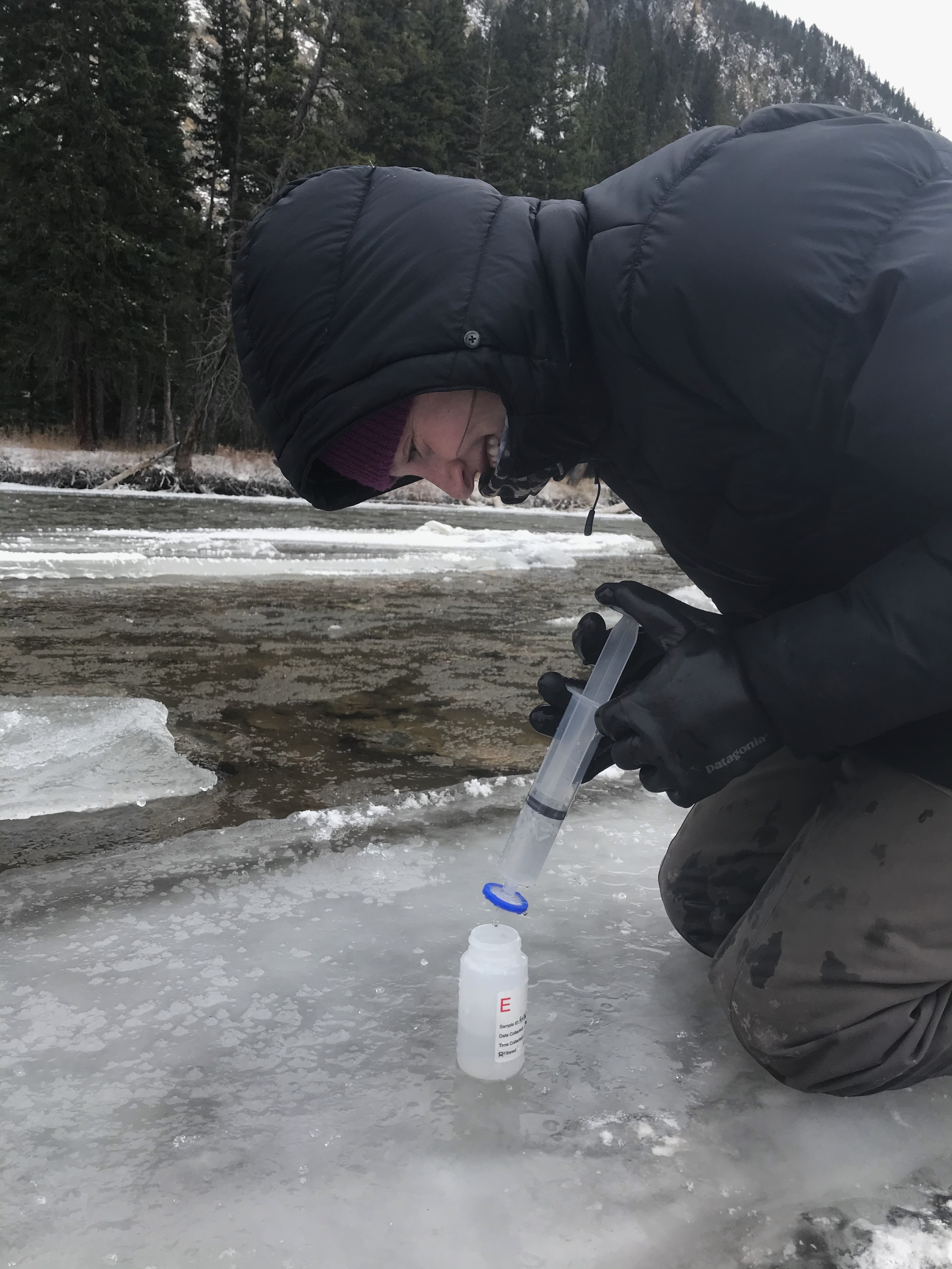 Brooke Helstrom, Gallatin Watershed Council Stewardship Manager
