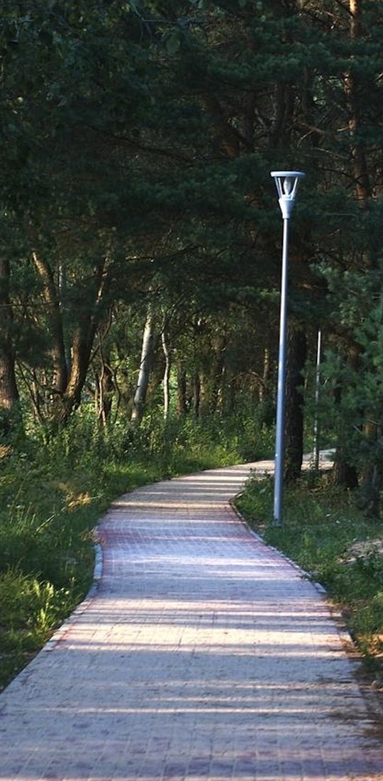Beautiful cobblestone hiking trail through the forest.