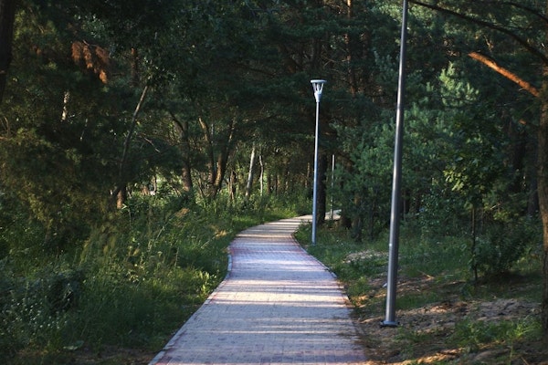 Beautiful cobblestone hiking trail through the forest.