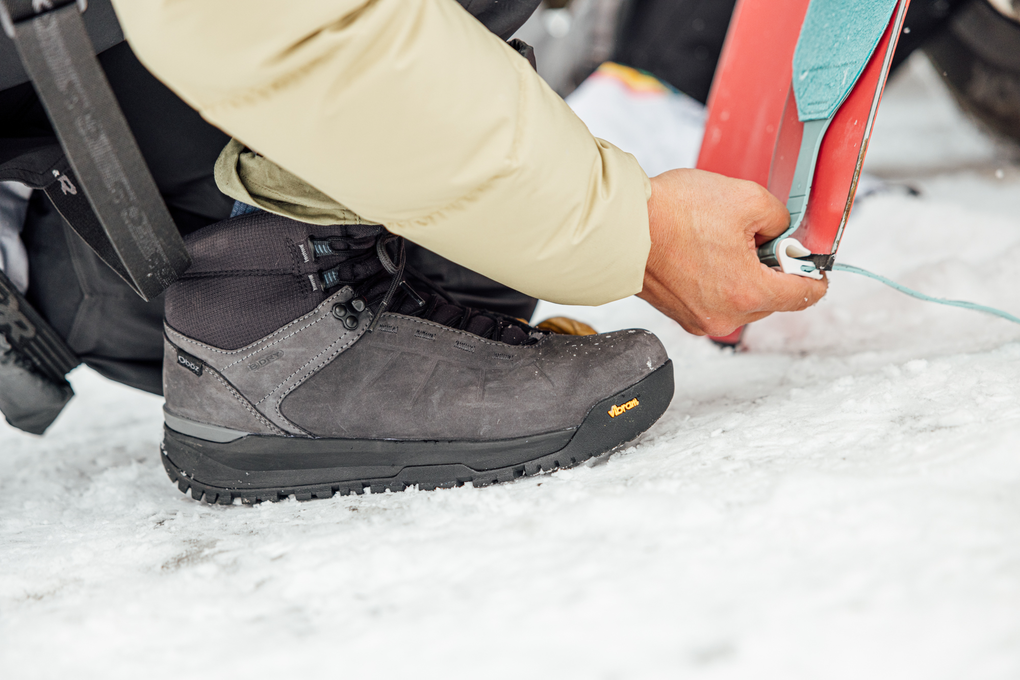Andesite in the snow