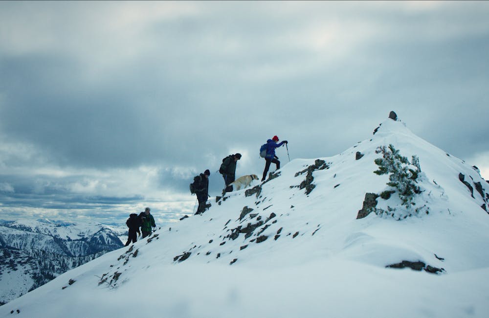 The Anker family hiking in the snowy mountains with a dog.