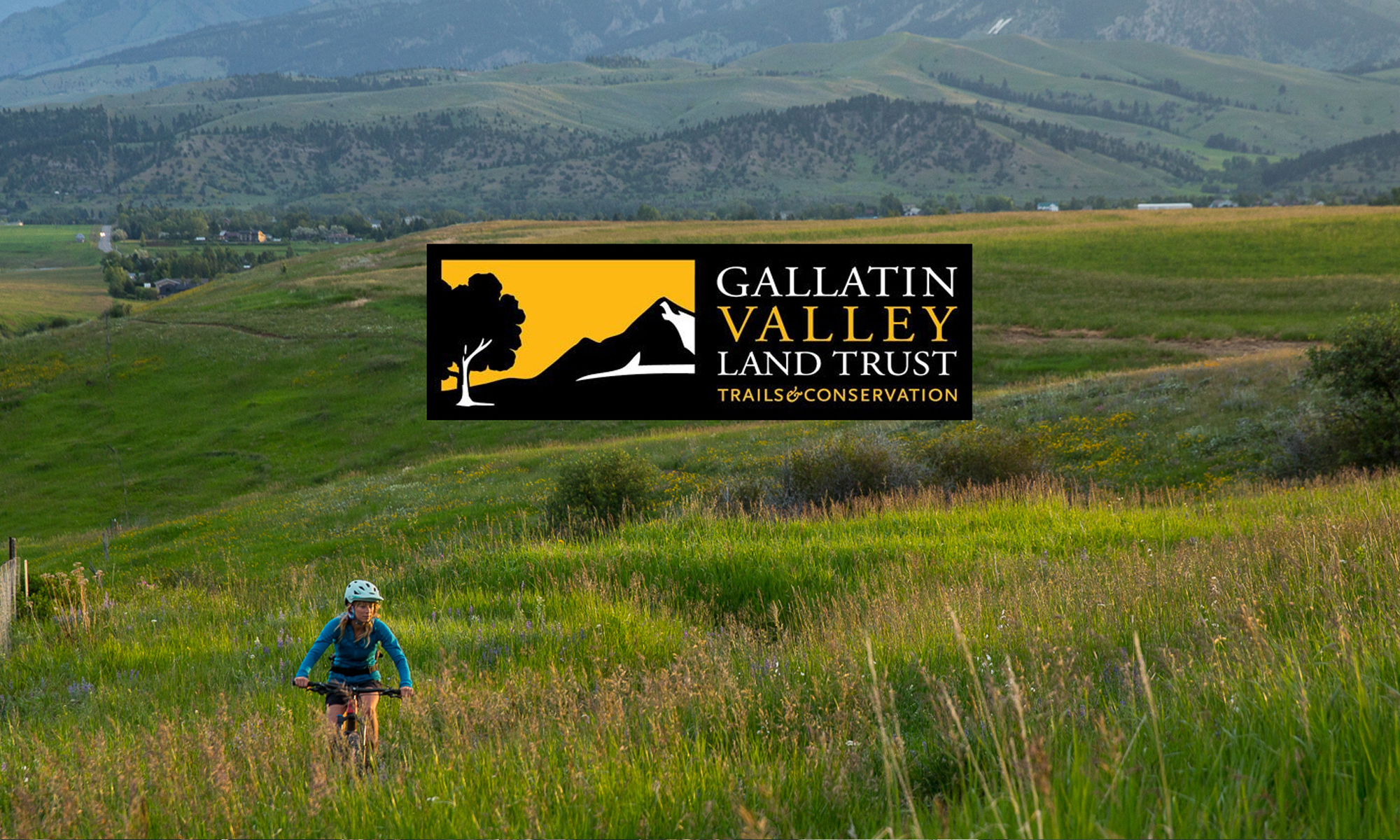 Woman mountain biking on a trail through tall green grass at sunset
